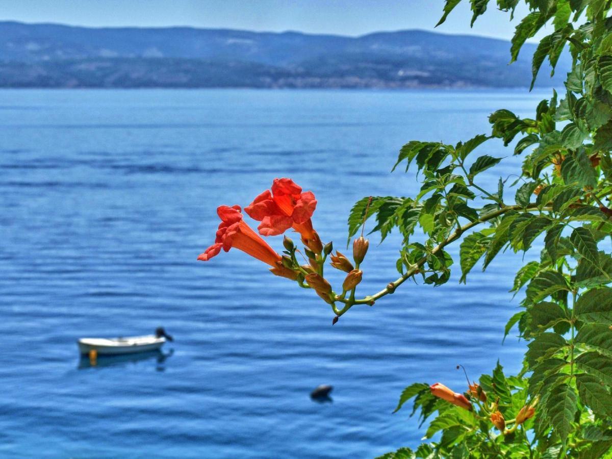 Apartments Neda Omiš Εξωτερικό φωτογραφία